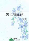 黑风城战记·续