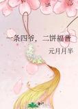 二饼福晋TXT