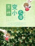 我的男神变小了晋江