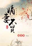 嫡妻不贤格格党