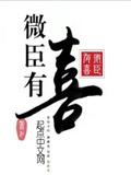 微臣有喜好看吗