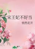 穿越大宋王妃