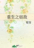 重生之宿敌晋江