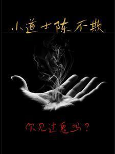 小道士陈不欺女主角是谁