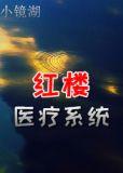 红楼医话在线阅读