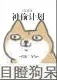 综武侠神偷计划