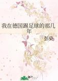 在德国踢过球的中国球员