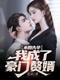 未婚先孕大全