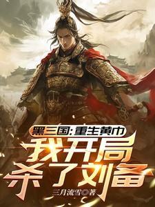 我开局杀了刘备无广告