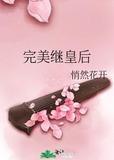 完美继皇后讲什么