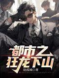 都市之狂龙