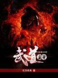 武道主宰秦尘