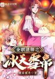全职法师之冰天雪帝TXT链接