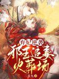 弃妃逆袭邪王追妻火葬场txt