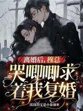 离婚后再爱你慕羽晴
