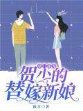 豪门甜宠贺少的替嫁新娘 窗含