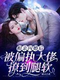 相亲后闪婚的军婚