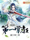 纯阳第一掌教免费听书网