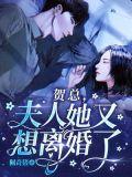 贺总夫人她又想离婚了免费阅读