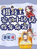 摄政王家的小娇娇 得拿命宠
