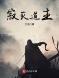 寂灭道主境界划分