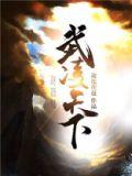 武凌天下安朋TXT完结
