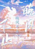 晚风不止一