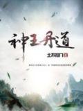 神王丹道txt电子书