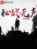 秘战无声剧情简介