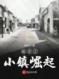 鞋乡之小镇崛起 在线阅读