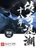 传奇浪潮十八年是什么