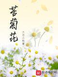 苦菊花生