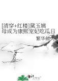 清穿康熙黛玉np_清穿