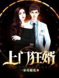 上门狂婿龙王殿