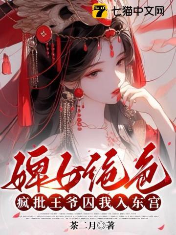 婢女追王爷