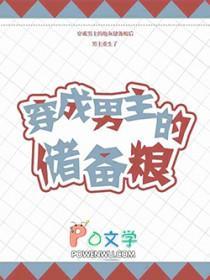 穿 成 男 主 的 储 备 粮
