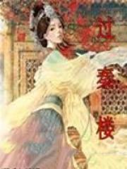 过秦楼藻国凄迷