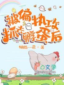 被偏执攻盯上怎么办无防盗