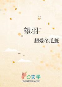 望羽羊绒衫女式价格
