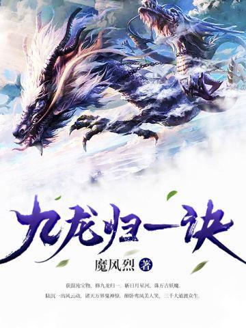 九龙归一诀好看吗