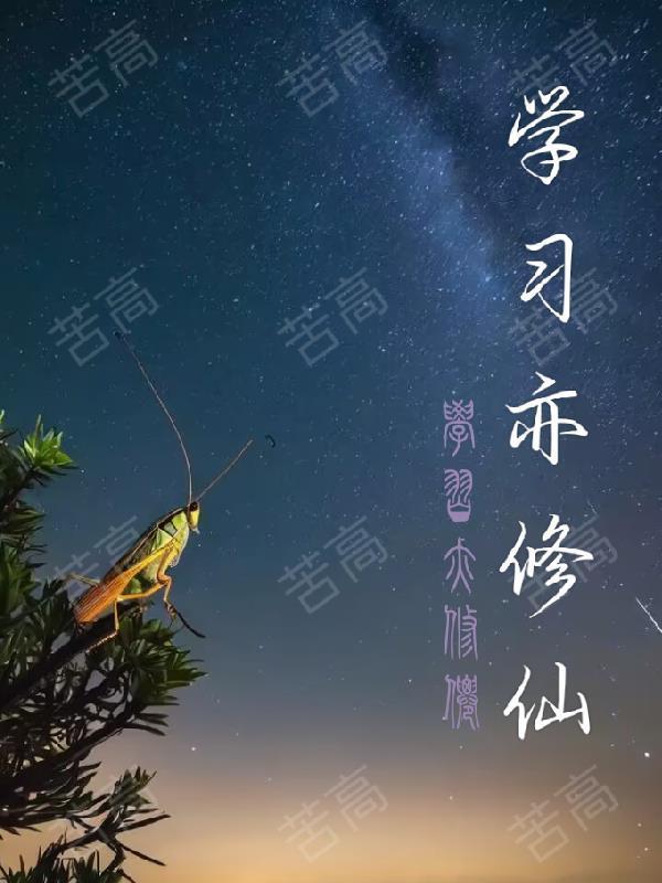 学识修为