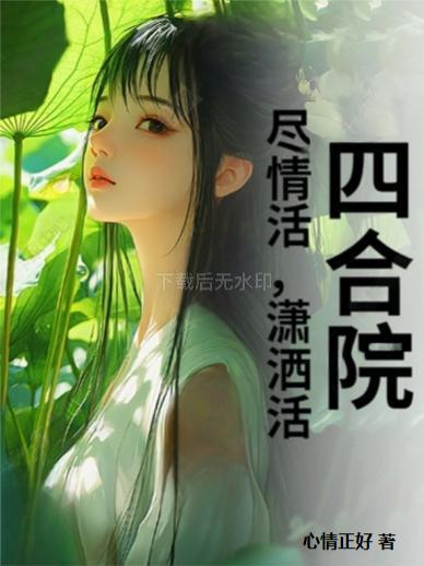 四合院尽情活