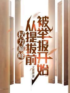权力巅峰是什么意思