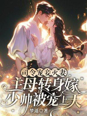司令宠文