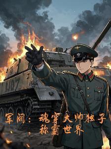 军阀我以钢铁洪流碾碎列强笔趣阁