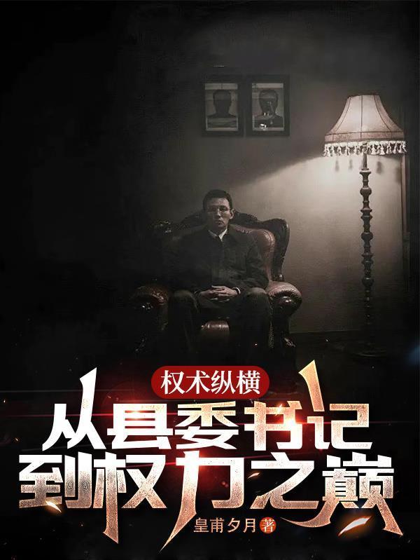 权术纵横从县委书记到权力之巅 TXT