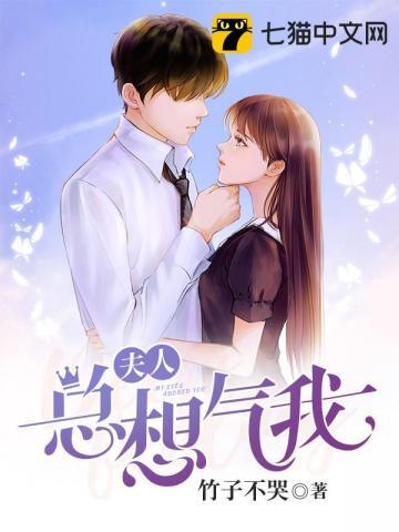 夫人总想气我又名什么