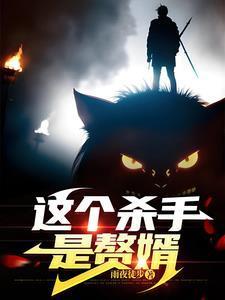 这个杀手是赘婿江浩全文听