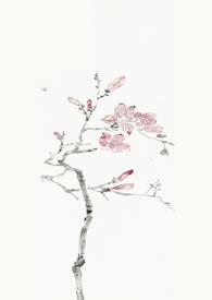 燕尔(古言1v1)by尔容