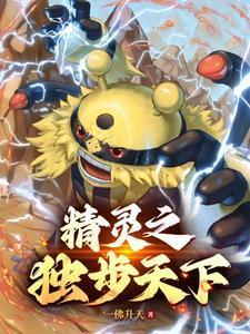 精灵宝可梦之登神长街txt